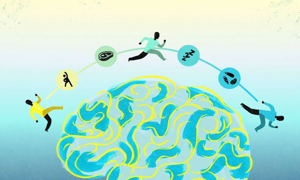 What Is Neuroplasticity? Understanding Its Role in Healing and Recovery